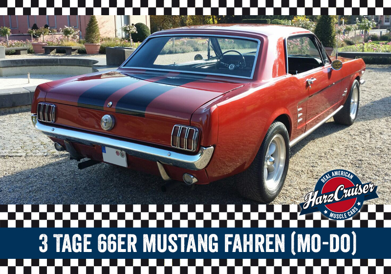 3 Tage 1966er Mustang Coupé fahren (Mo-Do)