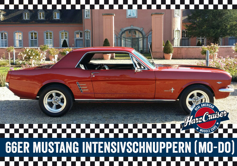 1966er Mustang Coupé - 3 Stunden (Mo-Do)