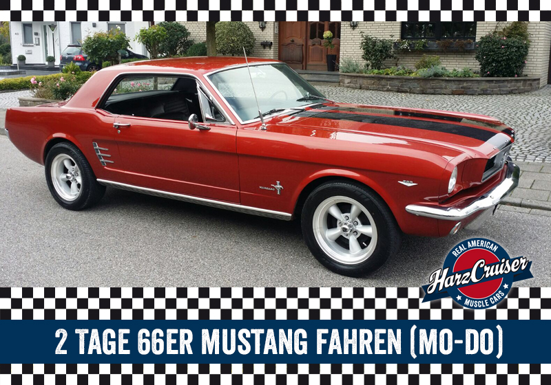  2 Tage 1966er Mustang Coupé fahren (Mo-Do)